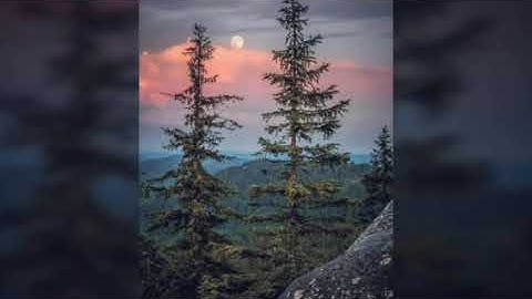 احمد السويلم .. تلاوة هادئة