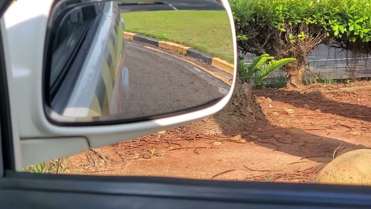 S型無腦 快速通關（退）