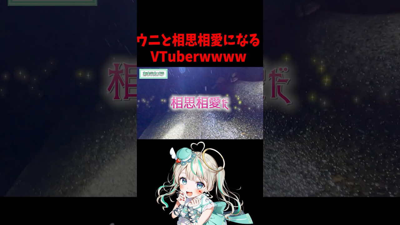 成人女性ウニと相思相愛になるww#天羽しろっぷ #Vtuber #水久良かなる #従井ノラ #あらかわちゃんねる