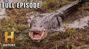 Swamp People: Race Against the Storm for Gator Gold (S12, E10) | Full Episode