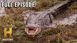 Swamp People: Race Against the Storm for Gator Gold (S12, E10) | Full Episode