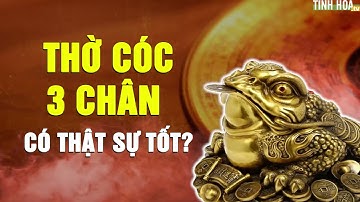 Thiềm Thừ • thờ Cóc 3 chân có thật sự tốt, hay không? | Tinh Hoa Fanpage