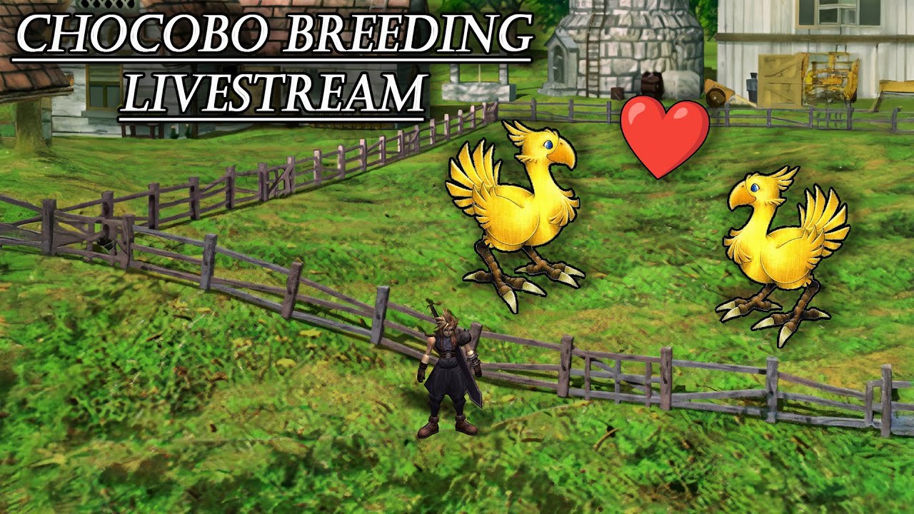 FF7 Chocobo Breeding! YouTube