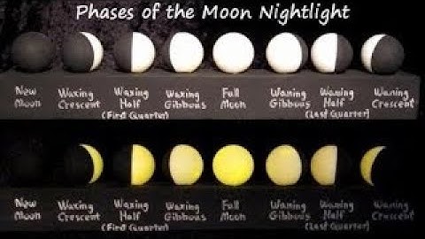 Phases of the Moon: Astronomy and Space for Kids - FreeSchool