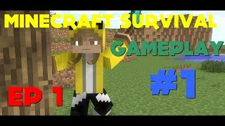 Minecraft Survival World Gameplay PS4 (Live)