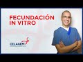 Fecundación in vitro | CELAGEM