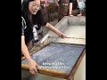 Fossbytes | This Is The Oldest Method To Manufacture Paper  📄