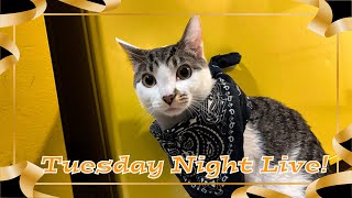 Tuesday Night Live!