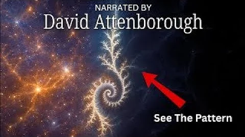 The Universal Pattern Explained — Narrated by David Attenborough