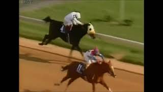 ARAZI Breeders' Cup Juvenile (G1) 1991
