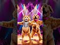 Synchronized Dog and Cat Dance: Pet Stars Shine!