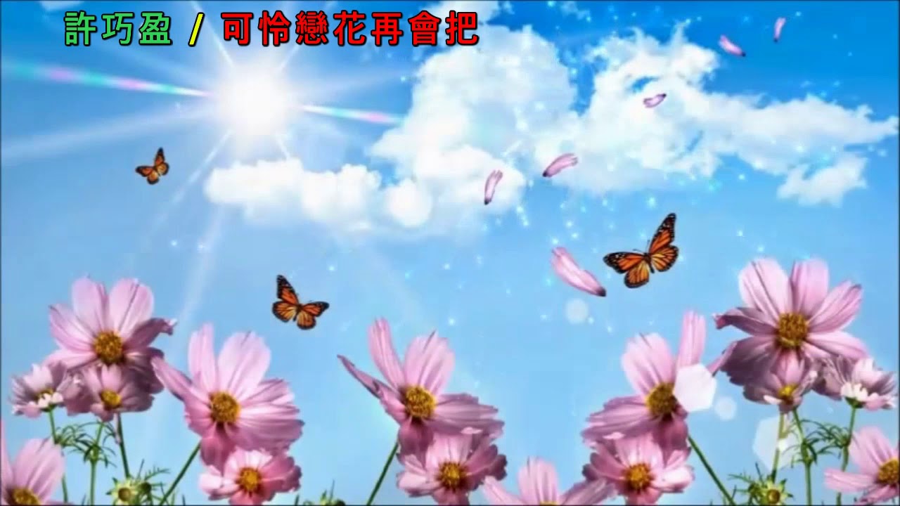 可怜恋花再会吧 张容容 Shazam