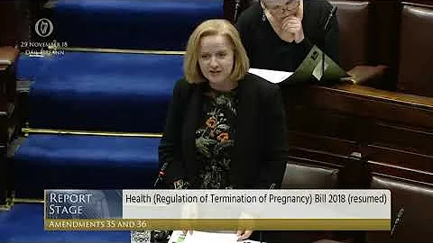 Deputy Ruth Coppinger - Government Business - 29.11.2018
