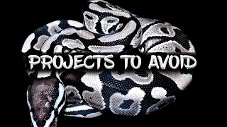 Ball Python Breeding Projects to Avoid