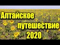 Отдых. Алтайский край. Яровое 2020