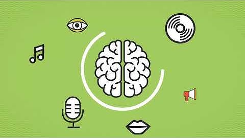 ERP Software (Animation)