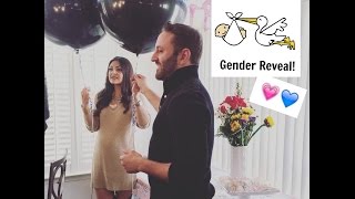 Pregnancy Vlog - Gender Reveal, Level 2 Ultrasound & Update