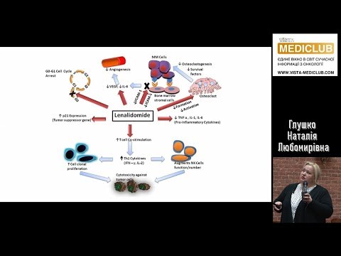 Сучасні аспекти лікування множинної мієломи, роль  імуномодуляторів  в гематології