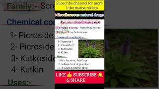 Picrorriza ||Katki ||Kadu ||Indian gentian ||Kutki ||Biological source, use, family of picrorriza.