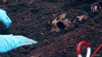 What is Forensic Anthropology?