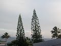 Hawaii Five-0 CBS World Premiere Pacific Ocean Solar Sunrise Kauaicr07 #16
