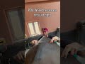When the POP his just PERFECT 😮‍💨🐴💥 #shorts #asmr