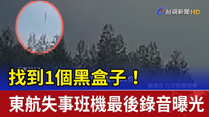 找到1个黑盒子！ 东航失事班机最后录音曝光 - 天天要闻