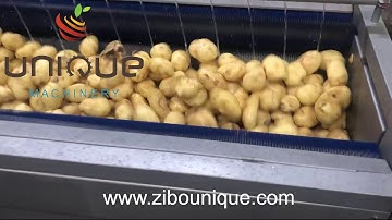 Potato peeling machine from Zibo Unique Machinery