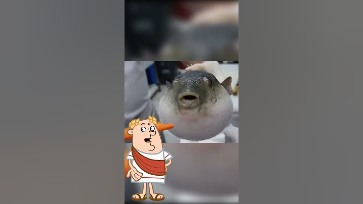 Comme quoi toujours se méfier de ce qui est petit et mignon. #animaux #pourtoi #viralvideo