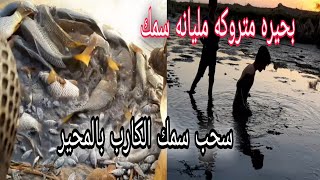 اجمل لحظات صيد سمك الكارب التي لاتنسى؟ جففنا البحيرات وبدت المتعه بالصيد👍