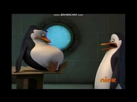 Penguins of Madagascar: Skipper Stomach Growling