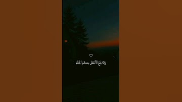 تلاوة خاشعة جميلة بصوت ماهر المعيقلي ارح سمعك ♡