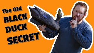 Download Lagu Attract more ducks with your decoys. MP3