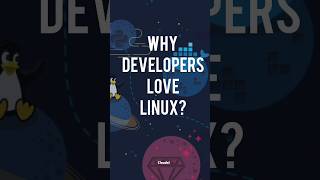 Why do developers love Linux? #linux #programming #terminal #tech#development #code