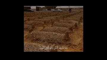 اكتب شيء تؤجر عليه❤😴||ياسر الدوسري🎧🌿 #تلاوة_خاشعة #القارئ_ياسر_الدوسري #اجر #quran #karim_quran_1