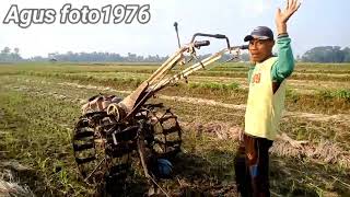 : Musim Tanam tiba!!Traktor Sawah Menyingkal Dari Pinggir Bawa Traktor G3000 Zeva//Agus foto1976