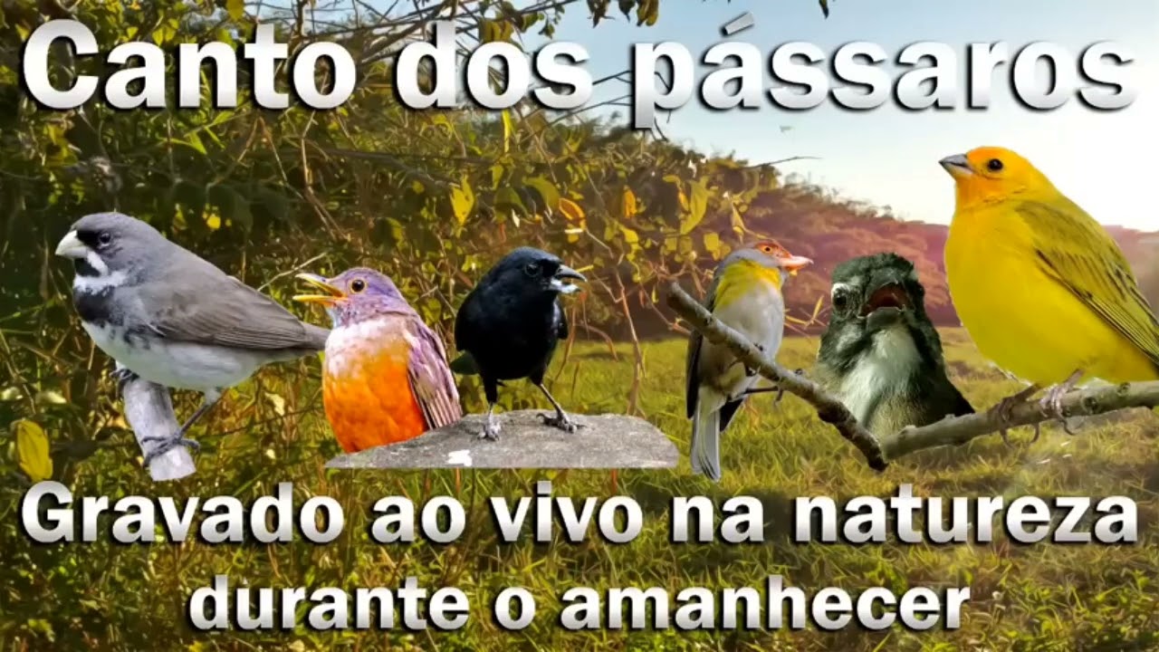 16 de outubro de 2025