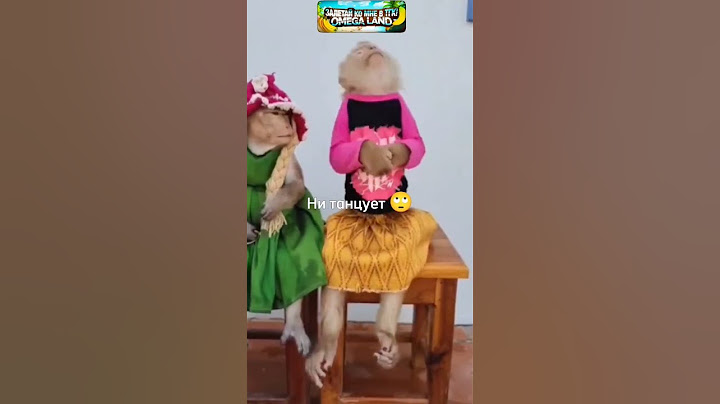 А КТО СКАЗАЛ ЧТО МОЕ ЯИЧКО НЕ ТАНЦУЕТ? 😎🍳 #monkey #обезьяна #omegaland #funny #прикол #animals #юмор