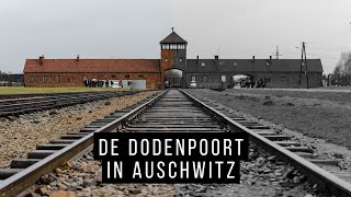 Visiting Auschwitz in Poland | Winter Vanlife Poland
