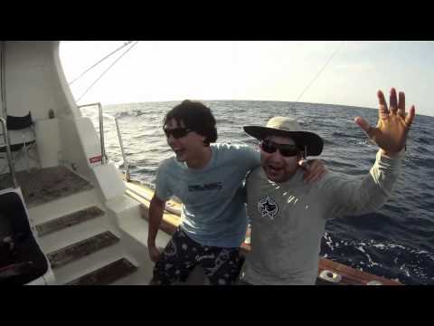 Black Marlin Fishing Cairns Australia 2011