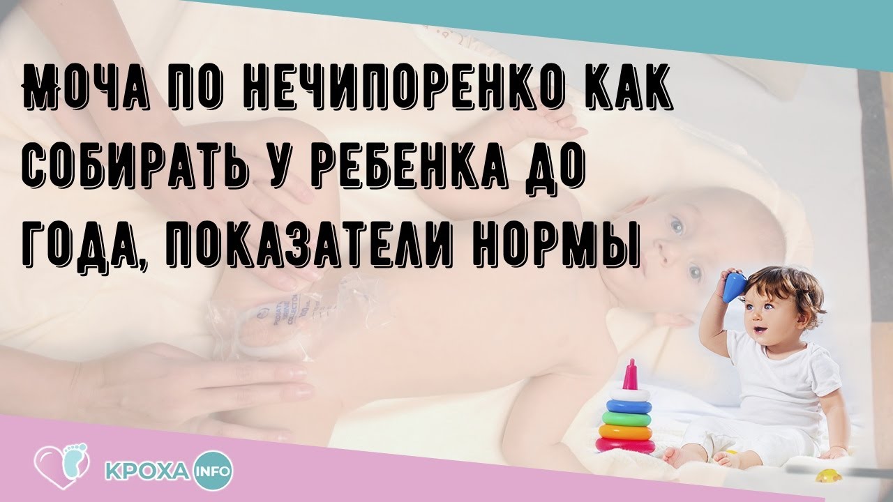 Моча по нечипоренко как собирать у ребенка до года, показатели нормы ...