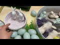 Пасхальный декор для моей кухни 🐣🐇