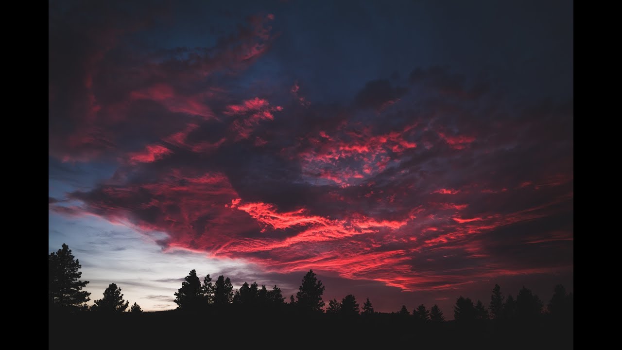 Cocoa Tea Young Lover Dubplate (Ondubground Remix) YouTube