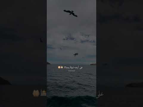 لن ينسانا الله سيؤتينا من الغيب أحلاه