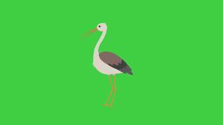 Bird | Green Screen | Moving Background | Motion Background | Copyright Free