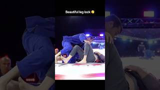 Beautiful Leg Lock From Knee Cut Half