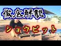 スケボー 初心者Howto ショービット shove-it 【徹底解説】