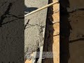⚡️🏗️ High-Volume Pour: Spreading Thick Concrete Over Rebar Foundations! #Shorts
