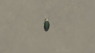 Grenade Clip