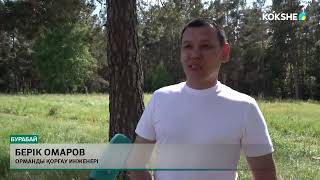 ЮНЕСКО ның қорғауындағы «Бурабай» ұлттық табиғи саябағына    25 жыл